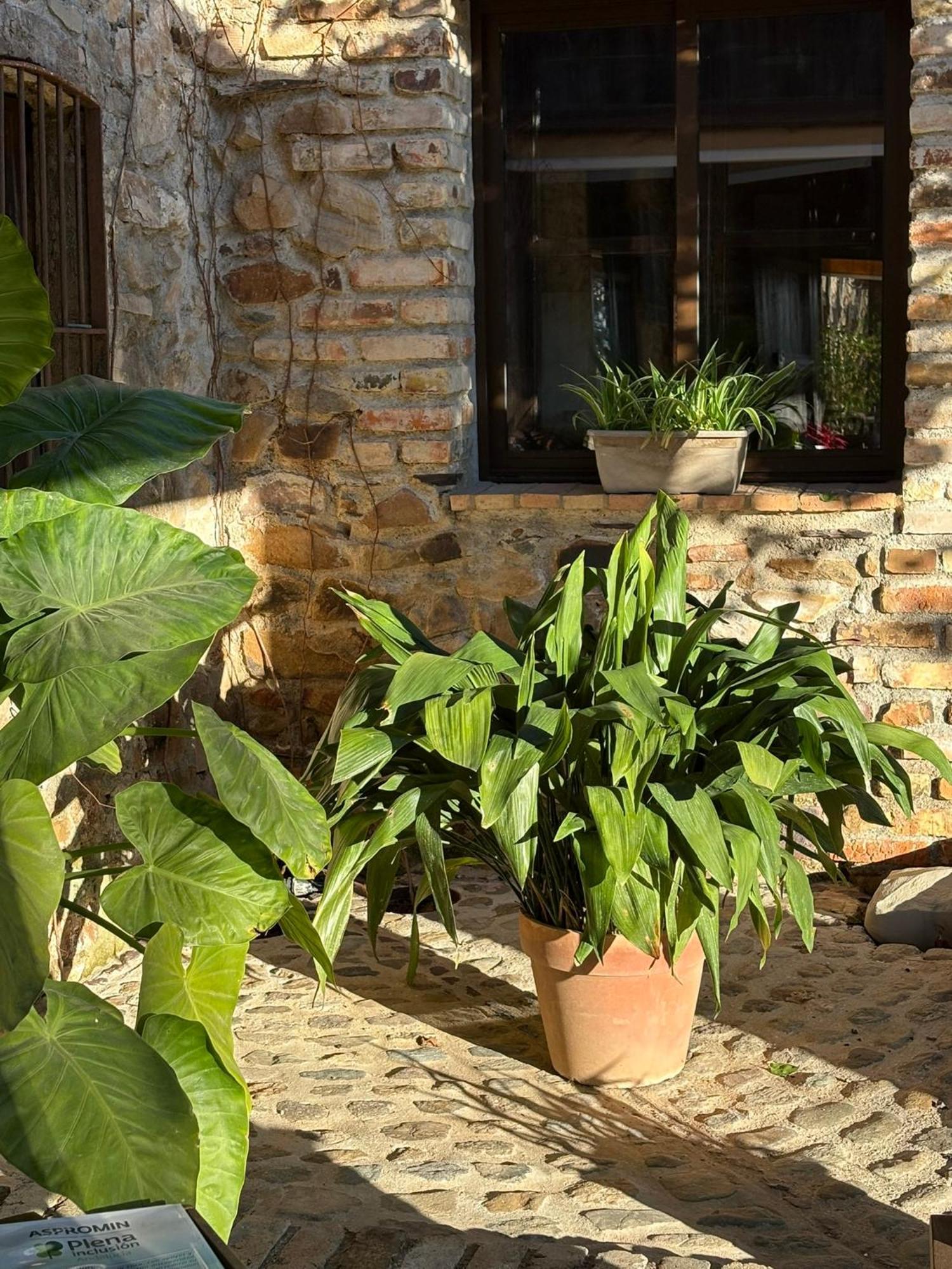 Finca Los Caleros Juan Gallegos Exterior foto